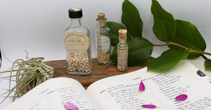 Homeopathic Consultations + Homeopathic Detox Therapy 