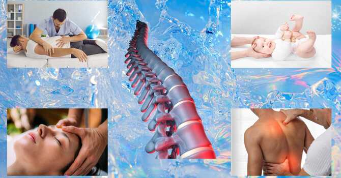  Understanding Osteopathy: Principles and Practice image