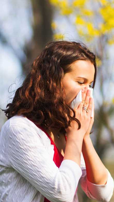 Homeopathy for Allergies