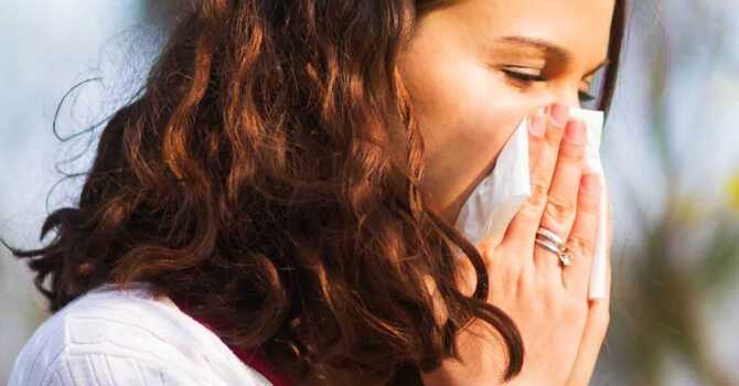 Navigating Allergy Season with Homeopathy 